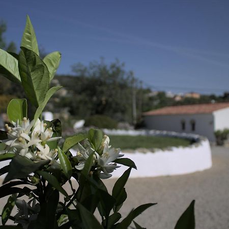 Cosy Farmhouse Quinta Da Eira 140 Years Old Loule Exterior photo